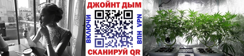 Бошки Шишки гибрид  Севск 
